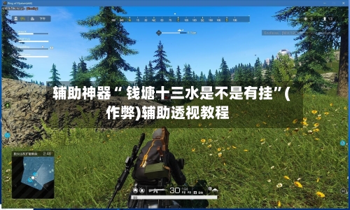 辅助神器“ 钱塘十三水是不是有挂”(作弊)辅助透视教程