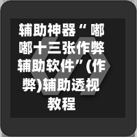 辅助神器“ 嘟嘟十三张作弊辅助软件”(作弊)辅助透视教程-第2张图片