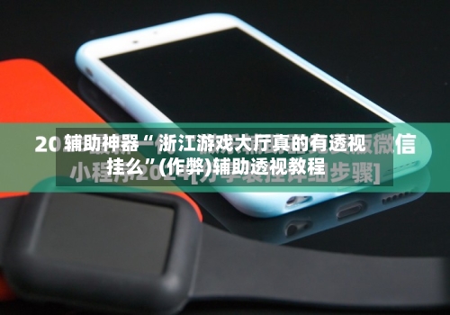 辅助神器“ 浙江游戏大厅真的有透视挂么”(作弊)辅助透视教程-第2张图片