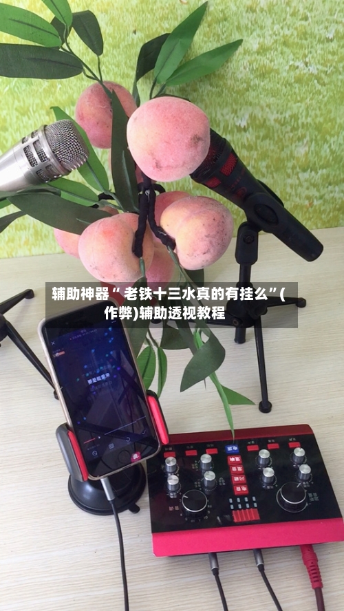 辅助神器“ 老铁十三水真的有挂么”(作弊)辅助透视教程-第2张图片
