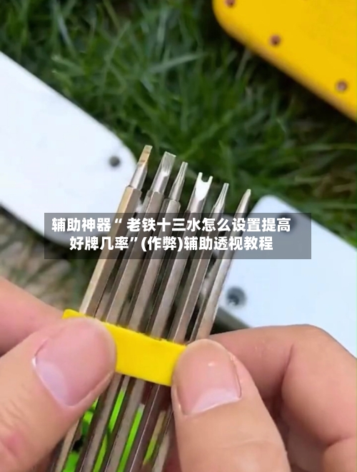 辅助神器“ 老铁十三水怎么设置提高好牌几率”(作弊)辅助透视教程-第2张图片