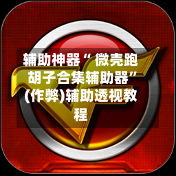 辅助神器“ 微壳跑胡子合集辅助器”(作弊)辅助透视教程-第2张图片