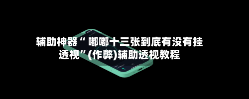 辅助神器“ 嘟嘟十三张到底有没有挂透视”(作弊)辅助透视教程-第3张图片