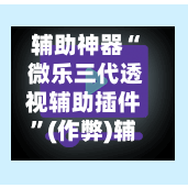 辅助神器“ 微乐三代透视辅助插件”(作弊)辅助透视教程-第3张图片