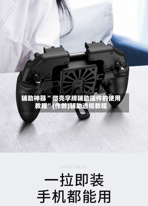 辅助神器“ 微壳字牌辅助插件的使用教程”(作弊)辅助透视教程-第2张图片