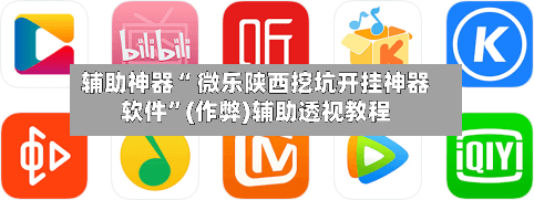 辅助神器“ 微乐陕西挖坑开挂神器软件	”(作弊)辅助透视教程-第2张图片