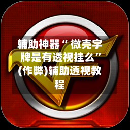 辅助神器“ 微壳字牌是有透视挂么”(作弊)辅助透视教程-第2张图片