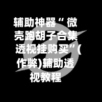 辅助神器“ 微壳跑胡子合集透视挂购买”(作弊)辅助透视教程