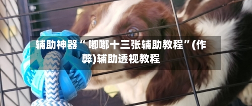 辅助神器“ 嘟嘟十三张辅助教程	”(作弊)辅助透视教程-第3张图片