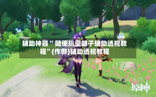 辅助神器“ 随便玩歪胡子辅助透视教程”(作弊)辅助透视教程-第3张图片