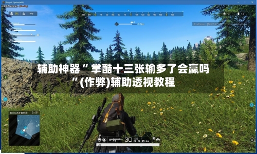 辅助神器“ 掌酷十三张输多了会赢吗”(作弊)辅助透视教程-第3张图片