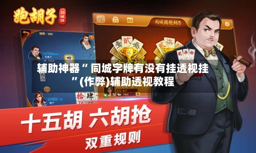 辅助神器“ 同城字牌有没有挂透视挂”(作弊)辅助透视教程-第2张图片