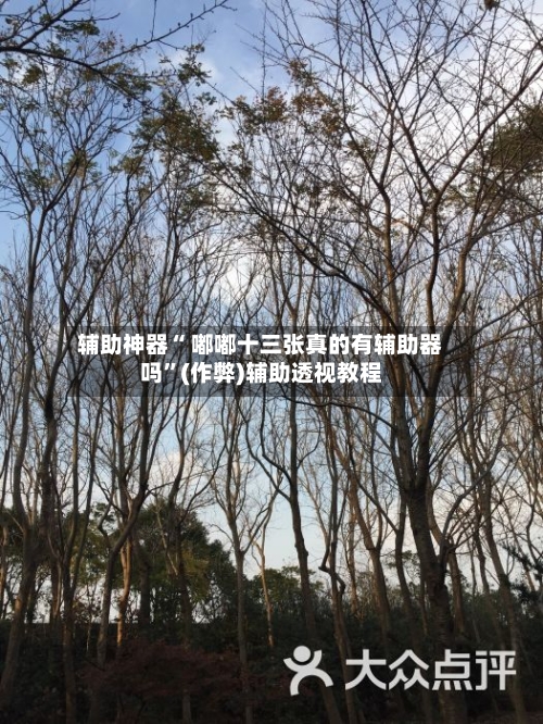辅助神器“ 嘟嘟十三张真的有辅助器吗”(作弊)辅助透视教程-第2张图片