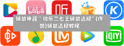 辅助神器“ 微乐二七王辅助透视”(作弊)辅助透视教程-第3张图片