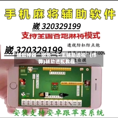 辅助神器“ 微乐二七王辅助透视”(作弊)辅助透视教程-第2张图片