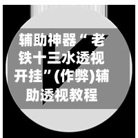 辅助神器“ 老铁十三水透视开挂”(作弊)辅助透视教程