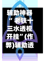辅助神器“ 老铁十三水透视开挂”(作弊)辅助透视教程-第2张图片