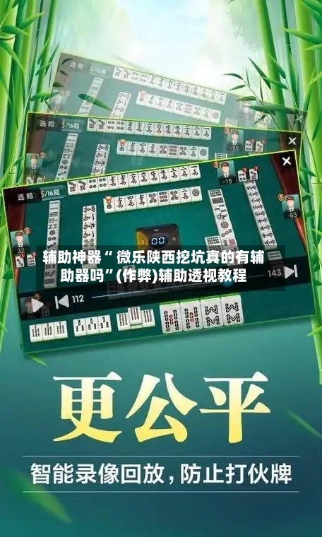 辅助神器“ 微乐陕西挖坑真的有辅助器吗”(作弊)辅助透视教程-第3张图片