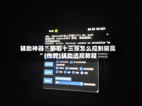 辅助神器“ 嘟嘟十三张怎么控制输赢”(作弊)辅助透视教程-第2张图片