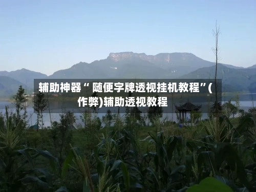 辅助神器“ 随便字牌透视挂机教程”(作弊)辅助透视教程