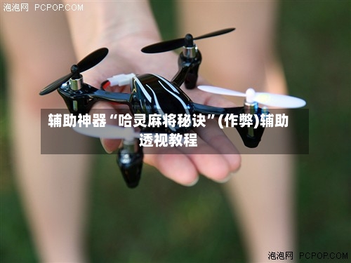 辅助神器“哈灵麻将秘诀”(作弊)辅助透视教程